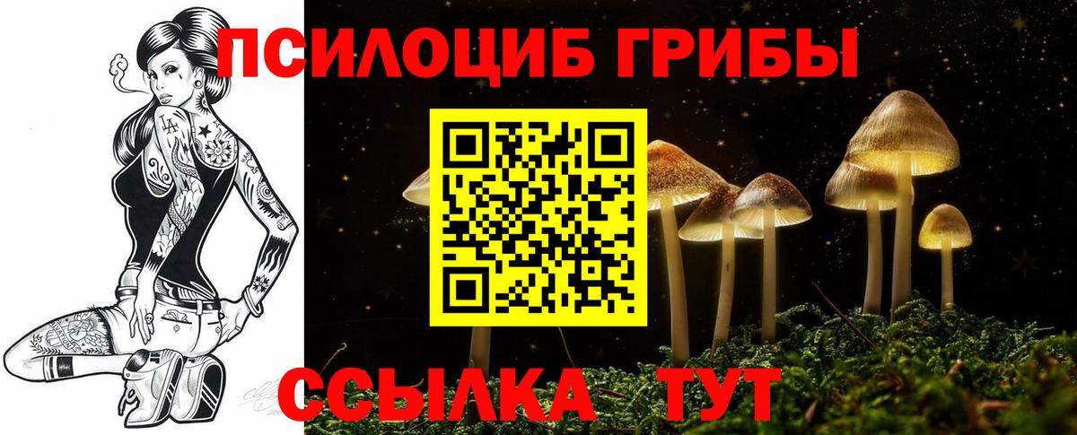Аргун  Галлюциногенные грибы Cubensis  дарнет шоп  Вход с VPN 